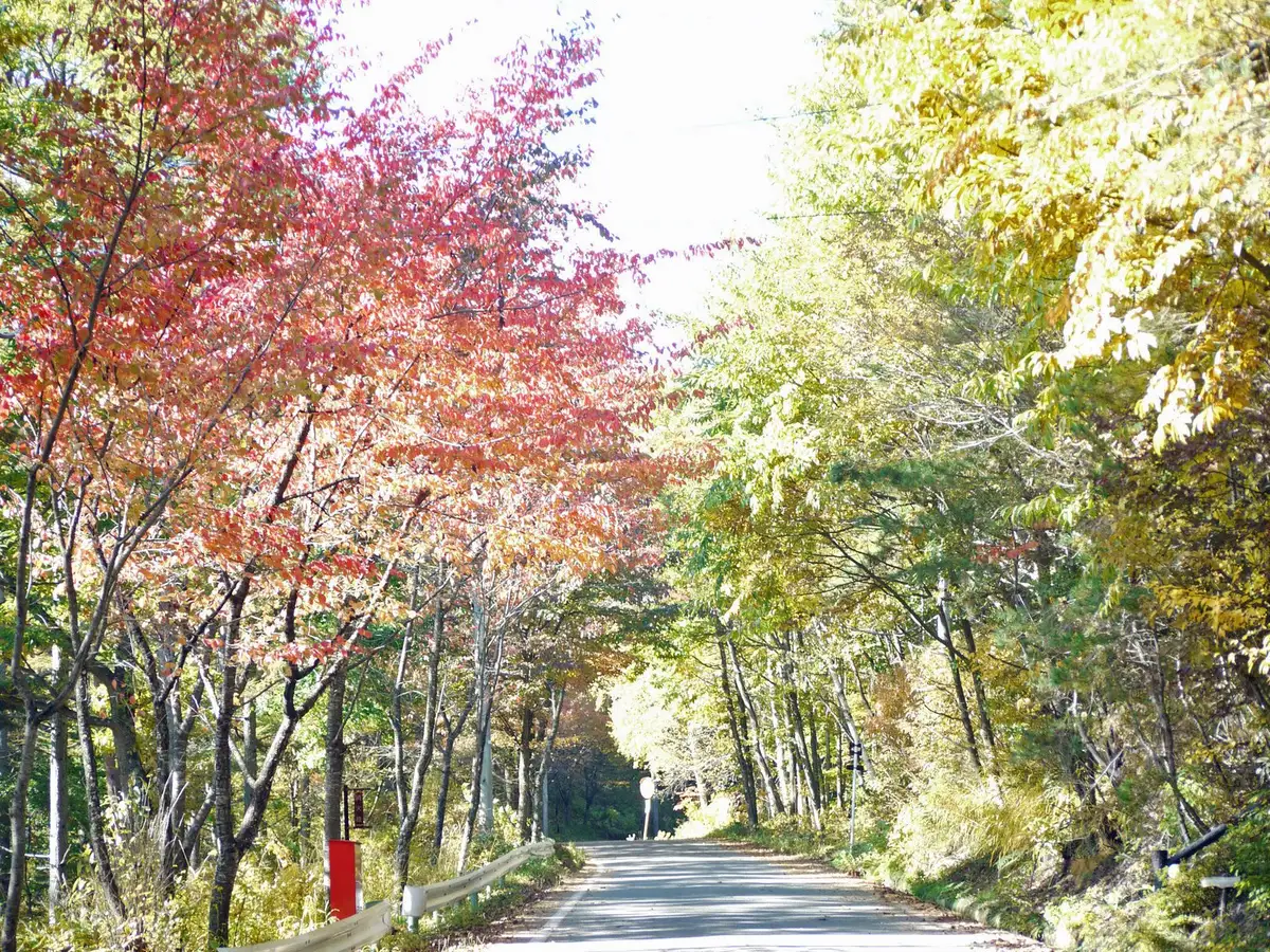 Shimizu Highlands