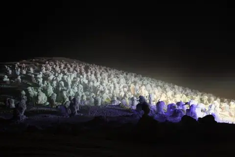 Juhyo Light-up