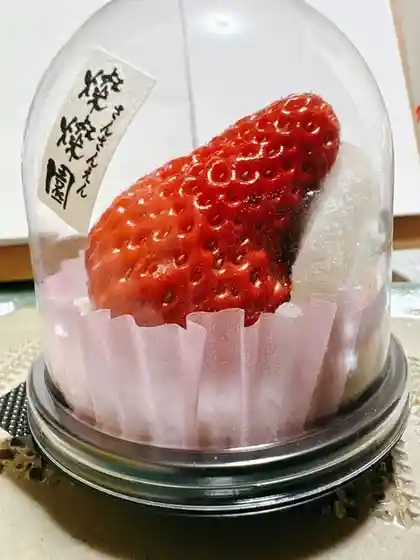 燦燦園