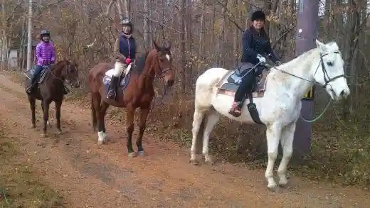 Lake Yamanaka Riding Club Bashamichi