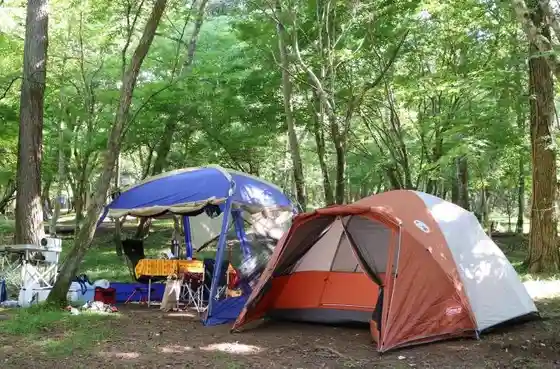 Village-run Lake Yamanaka Campground