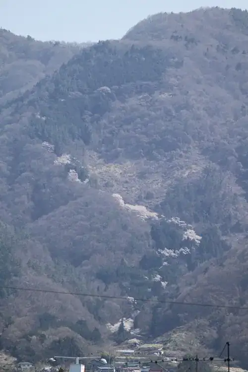 Yama no Kami Sembonzakura