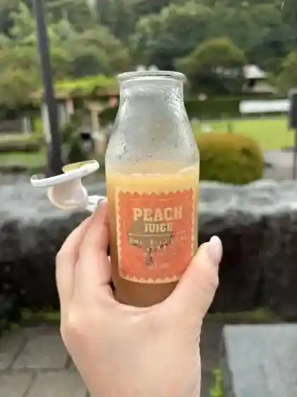 Michi no Eki Doshi