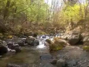 Momonga No Mori