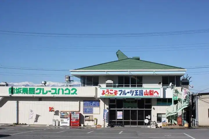Misaka Noen Gurepuhausu