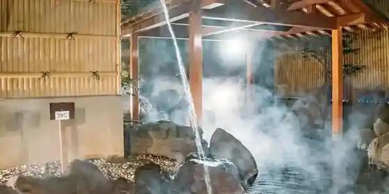 Shatoreze Hotel Ryokan Fujino Ya