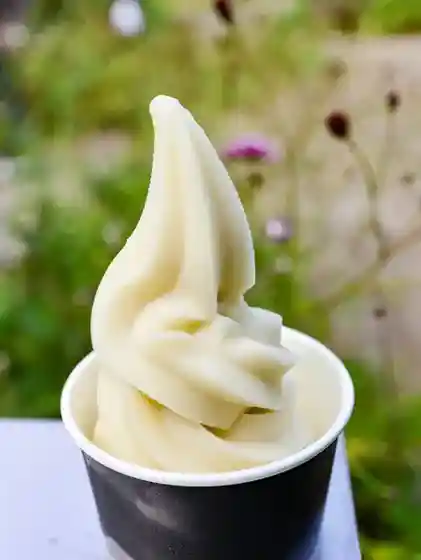 Budo-ya kofu Hana Terrace cafe