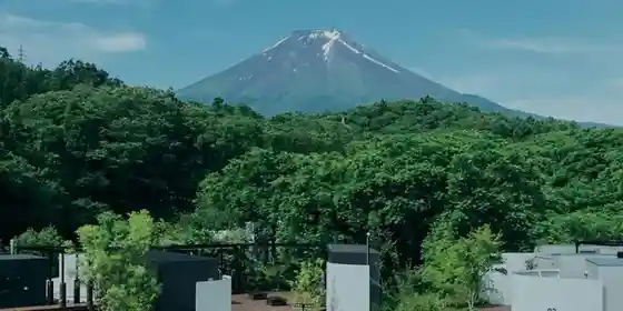 BLANC FUJI