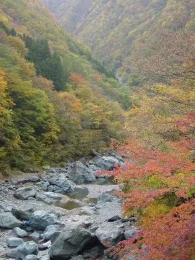 Hayakawa Gorge (Hayakawakeikoku)