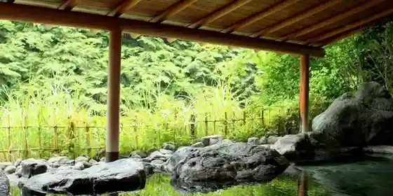 Zen-kan Gensen Kake Nagashi no Yado Nishiyama Onsen Keiun-kan