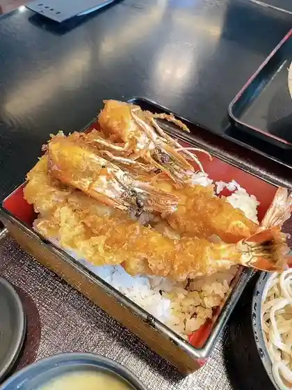 Fuji Gi