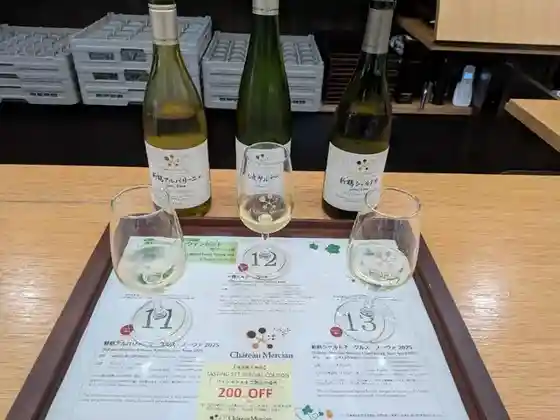 Merushan Wine Gyarari