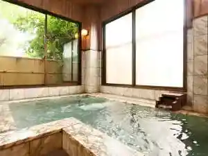 Nakamuraya Ryokan