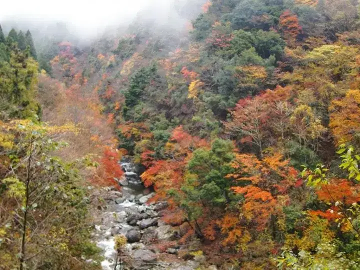 Fukushi Kawa Gorge (Fukushigawakeikoku)