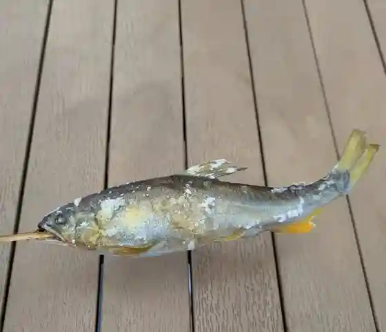 Michi no Eki Nanbu