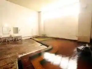 Kofu Showa Onsen Business Hotel