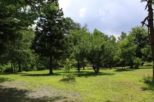 Shika Ryu Oto Campground