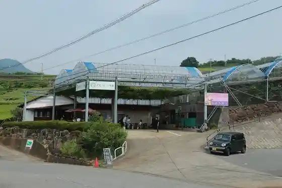 Marusei Farm