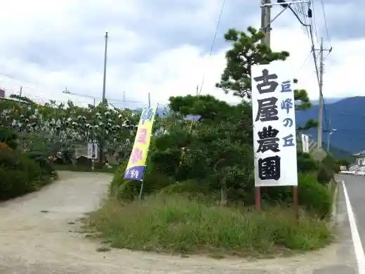 Furuya Farm
