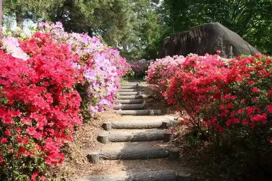 Mount Ishimori
