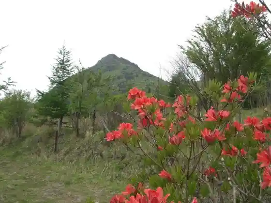 Mt. Kentoku