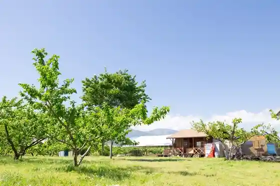 Yamanashi Naito Farm Pesca Shop