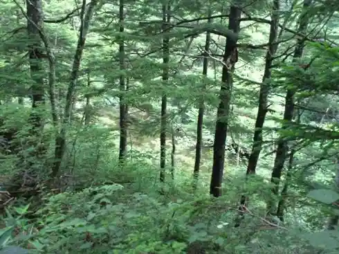 Sakasa Pond