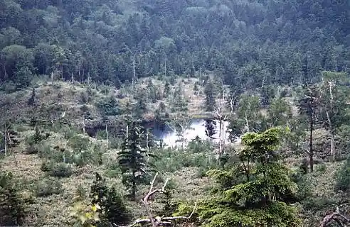 Moto Pond