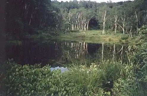 Shimo-no-Koike