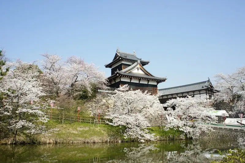 Koriyama Castle Ruins