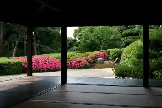 Jiko In