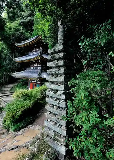 Matsuo Tera