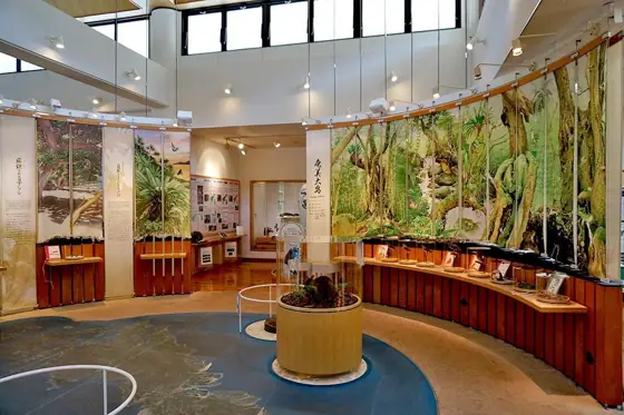 Amami Wildlife Conservation Center