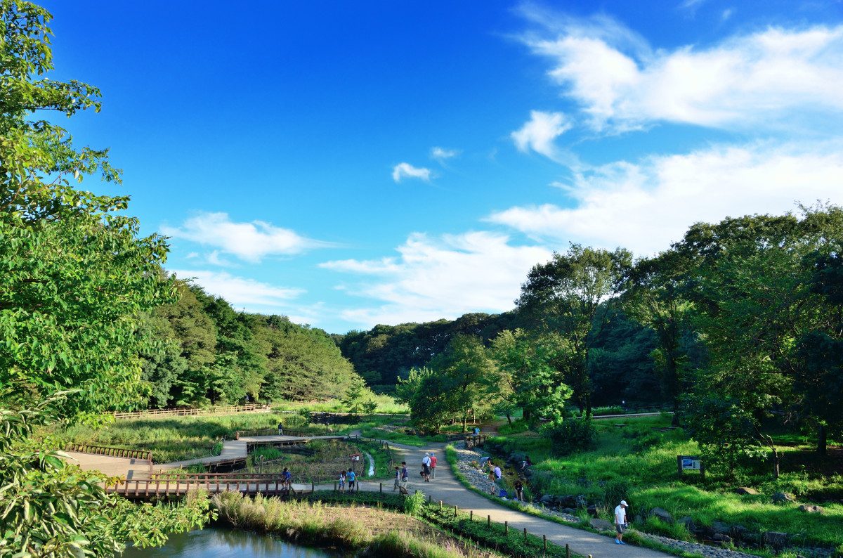 Izumi Forest