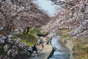Daichu Park