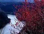 Prefectural Gatsugase Kanno Yama Nature Park