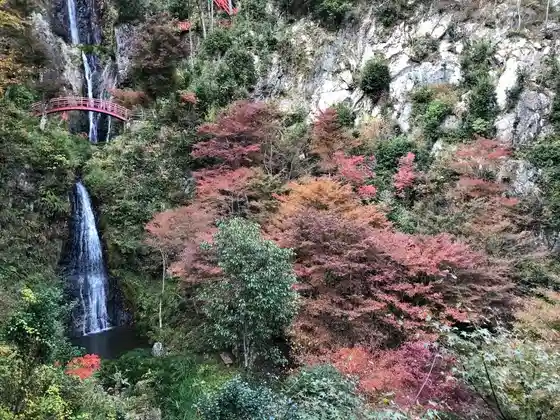 Autumn Foliage at Gohotaki Falls