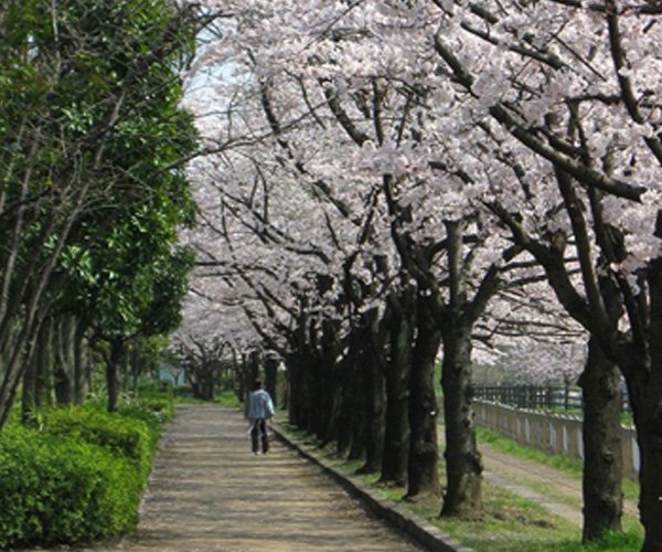 Hachijo Waterside Park