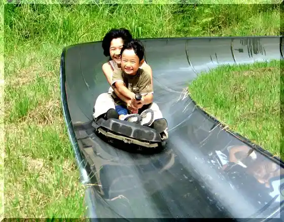Ai Park Yasuoka (Dream Bobsled)