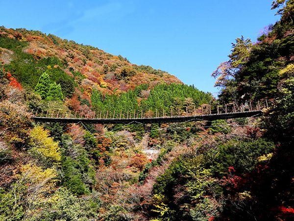 Momigi Suspension Bridges