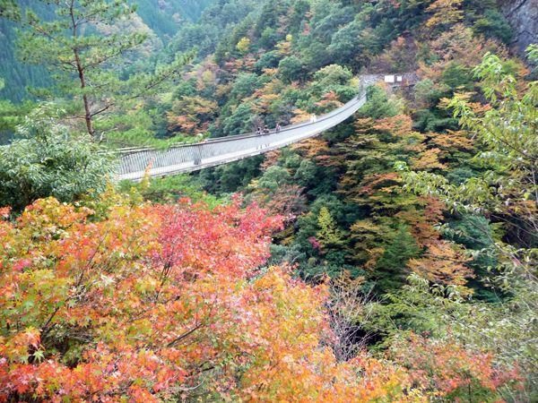 Umenoki Todoro Falls