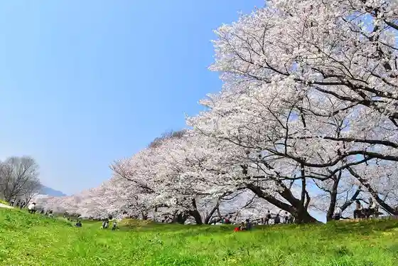 Yodogawa River Park (Se Wari Tsutsumi Chiku)