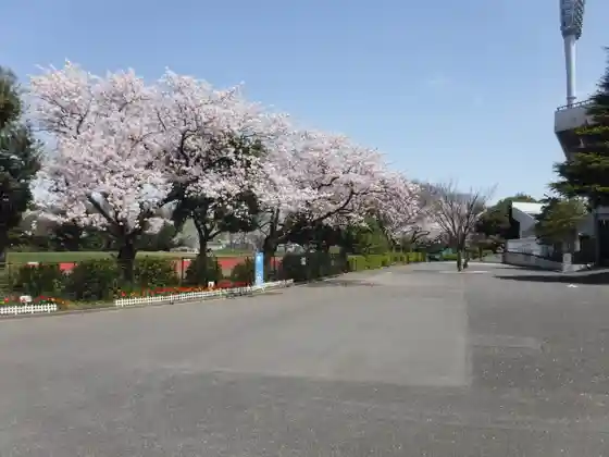 Mitsuzawa Park