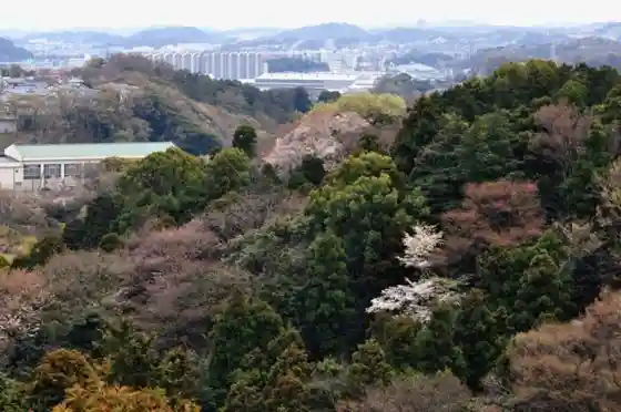 Kamariya Citizens' Forest