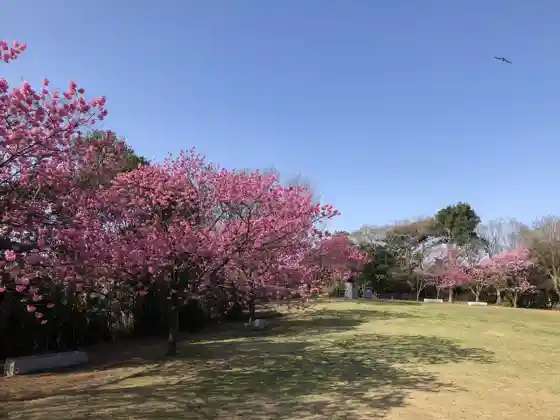 Honmoku Summit Park
