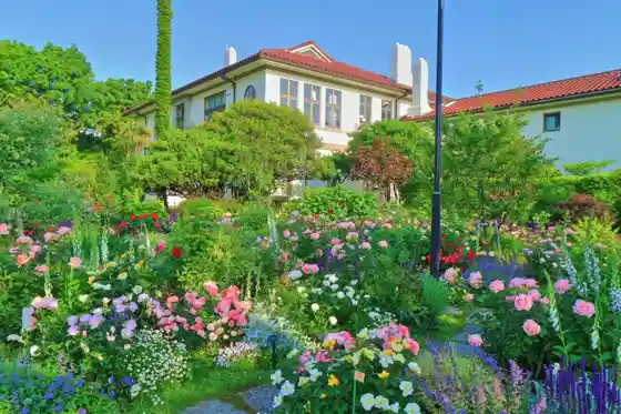 Harbor View Park