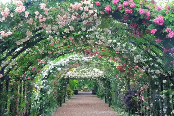 Yokohama English Garden