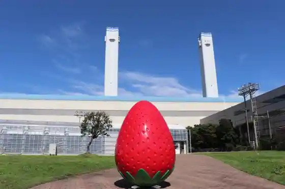 Yokohama Strawberry Park