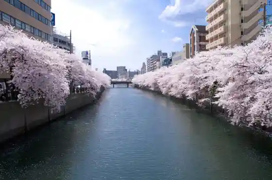 Ooka River Promenade