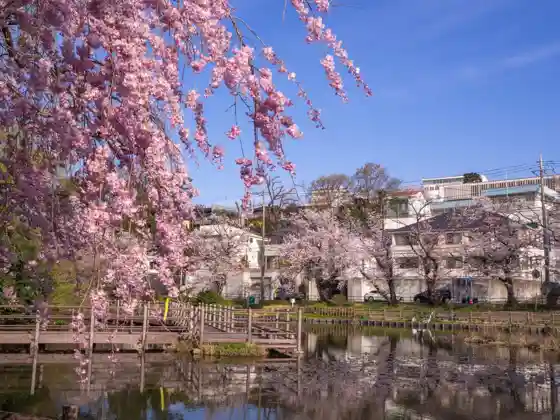 Shirahata Pond Park